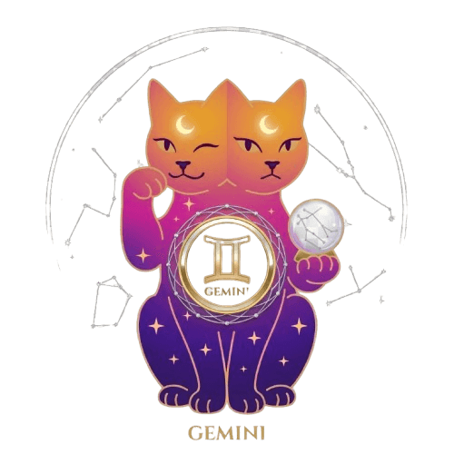 Gemini zodiac sign illustration